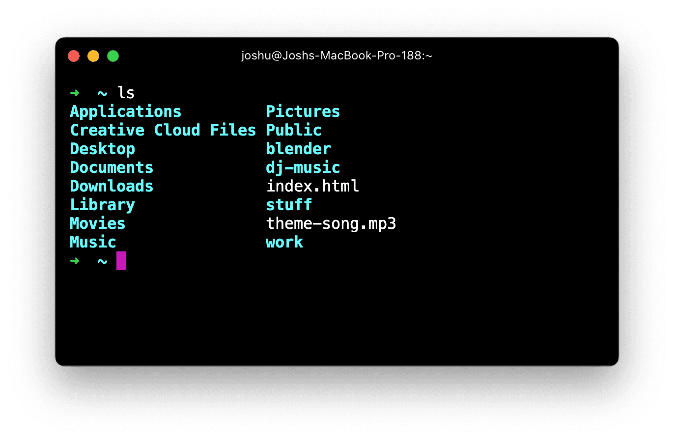 Running the 'ls' command, showing a set of all files and folders in the current working directory